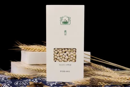 Soy Foods Products