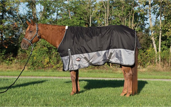 Tessitore in pelle premium 600d mesh cavallo pluviale