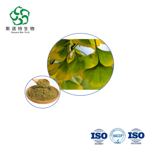 High-Potency Ginkgo Biloba Extract 24:6 Flavonoid-Terpenes Ratio