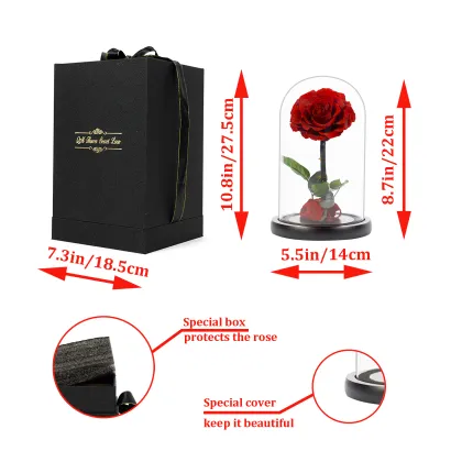 Factory Direct Wholesale: Immortal Rose Gift Boxes & Fresh Cut Flowers