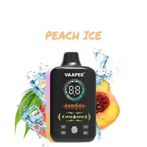 vapada vaapee x 30000 พัฟราคาใช้แล้วทิ้ง