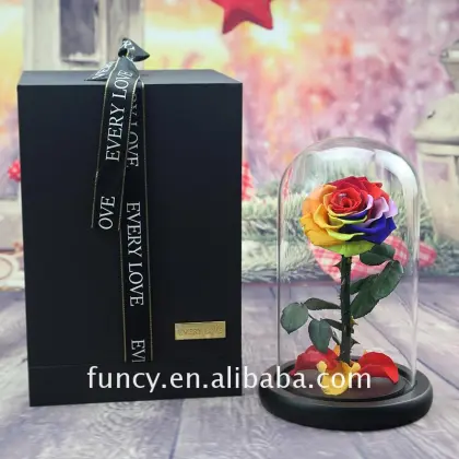 Last 5 Years Glass Cover Preserved Real Red Color Little Prince Forever Rose