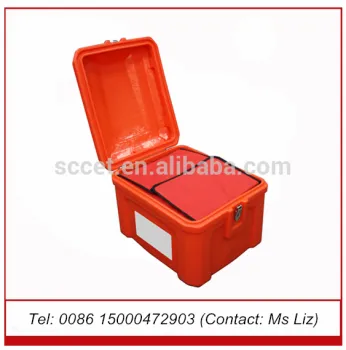 Take-out plastic PE food box, food box for delivery use for fast food                        
                                                                                Supplier's Choice