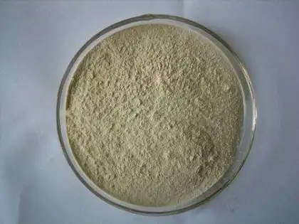 Garlic Extract Powder Allicin Free Sample