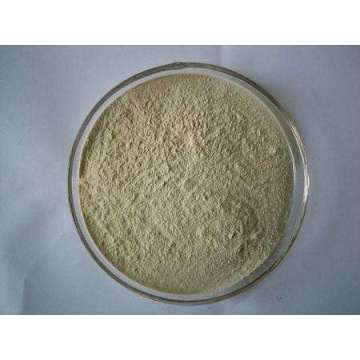 Garlic Extract Powder Allicin Free Sample