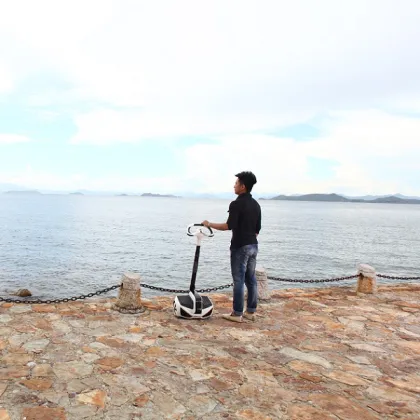 Inmotion Sensor Controlled Vehicle