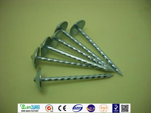 IBR Roofing Nails Twisted Shank Galvanized Finished