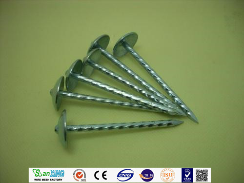 IBR Roofing Nails Twisted Shank Glvanized انتهى