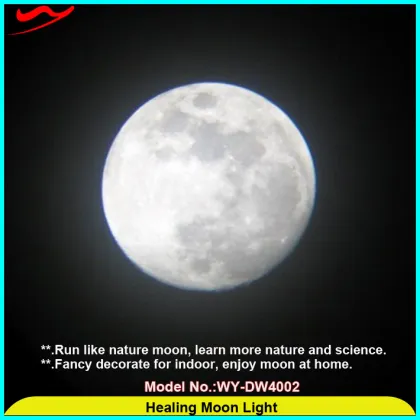 Moon light / 2016 Innovative crazy led healing moon light