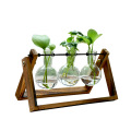 Creative Green Radish Transparent Glass Flower Arrangement Vase Container Small Fresh Desktop Decoration Decoration Home Decor