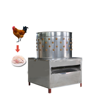 Commercial Chicken Feather Removal Machine - Poultry Plucker