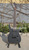 Musoo Brand electric 8 strings guitar with maple top on it
