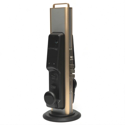 Induction Lock