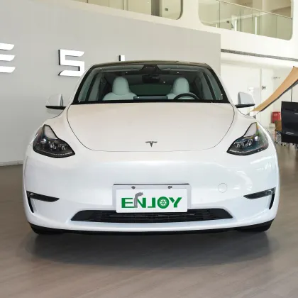 2023 Tesla Model Y: Large Space Electric SUV in China