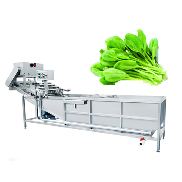 Ultrasonic Leafy Vegetable and Fruit Washing Machine