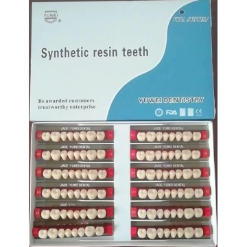 dental two layers full set resin teeth