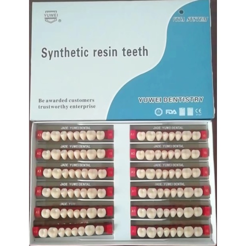 dental two layers full set resin teeth