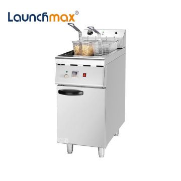 Stainless Steel Electric Deep Fryer with Thermostat Control for Restaurants and Hotels
