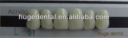 synthetic polymer Shell