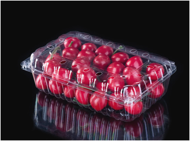 Disposable Fruit Clamshell Packaging in Jiangmen