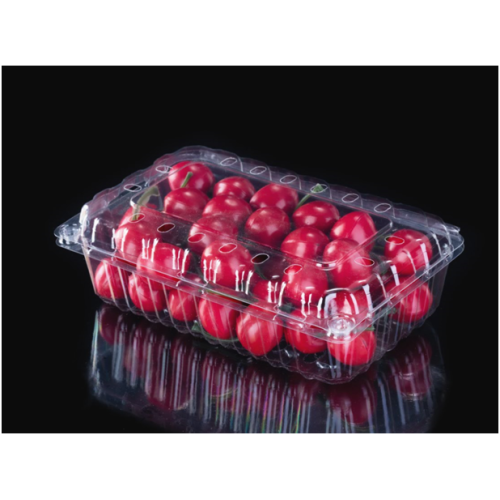 Disposable Fruit Clamshell Packaging in Jiangmen