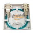 2 Ports Fiber Optic Wall Plate