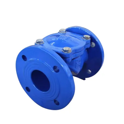 cast ductile iron check valves check valve 6mm fitting