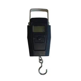 Electronic portable scale