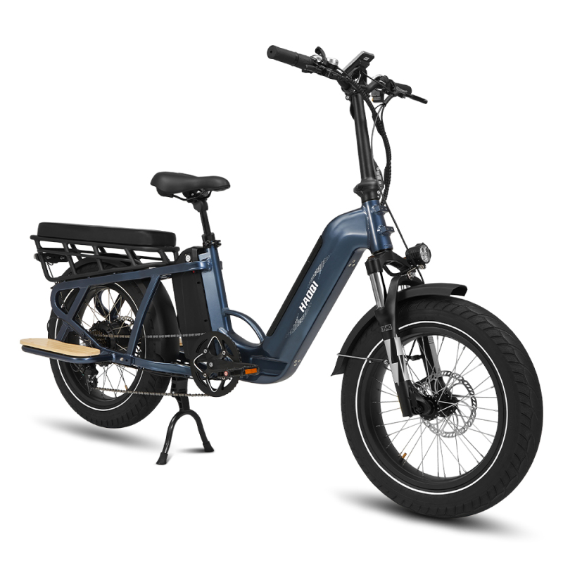Camel 48V 27.8Ah Cargo Electric Bike