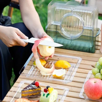 Square Plate Snack Plate Fruit Plate