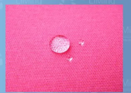 Physiotherapy Kinesiology Tape Muscle Sports Tape