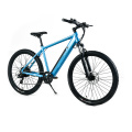 XY-SPORTSMAN ECO bestes Budget-Elektro-Mountainbike