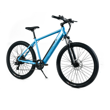 XY-SPORTSMAN ECO Best Electric Mountain Bike Under 3000