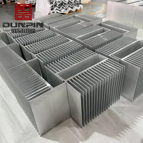 Custom Alloy Radiator: Large Extruded Aluminum Heatsink with Coating