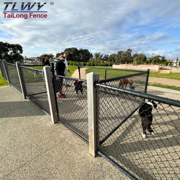 Tailong Garden Backyard 50m Galvanized Black Chain Link Fence with Gate