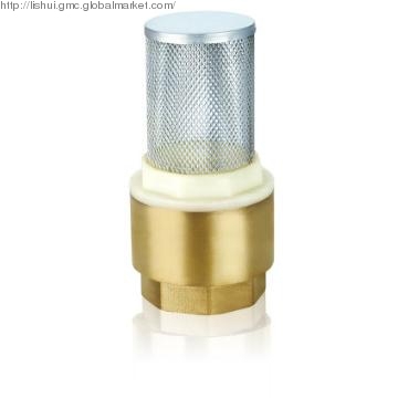 Brass Spring Check Valve with filter