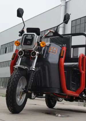 60 V Motor Heavy Loading Electric Cargo Tricycle