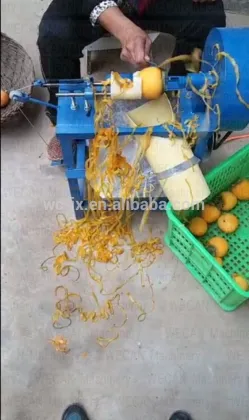 2015 Most competitive Persimmon peeling machine