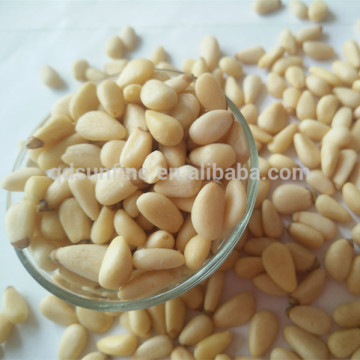 High quality Pine nuts kernels