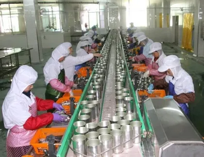 Auto ocean food canning processing tin canned machine