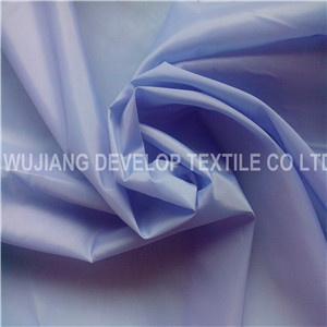 Water Resistance Polyester Light Fabric for Down Jacket Fabric (DT2056)