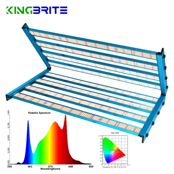 KingBrite 800W LED高度なLM301H/LM281B+PROおよびUVA/FAR RED ENHANCEMENTSを使用して5x5テントのライト成長