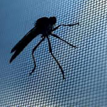 Cheap Polyester Window And Door Screen Mosquito Net
