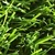 children friendly back yard artificial grass
