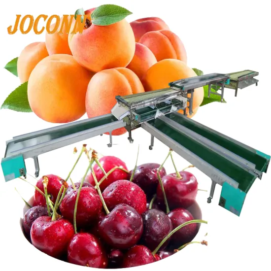 Cherry Apricot Lemon Plum Sorting Grading Processing Line for Sale