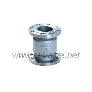 ss check valve