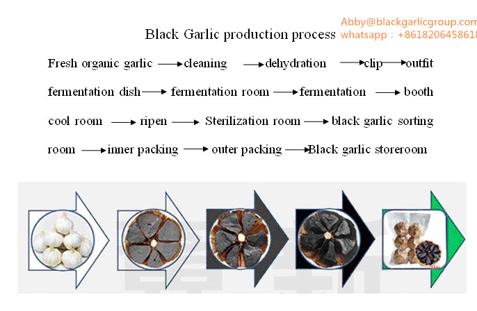 black garlic product process