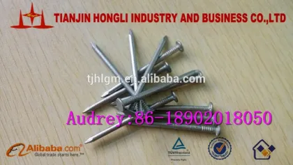 4" H.D.G Square boat nails from Tianjin Hongli
