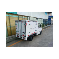 D02 van-type comfortable electric vehicle