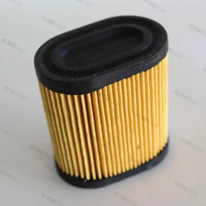 Air Filter ecumseh 36905 Toro / Craftsman